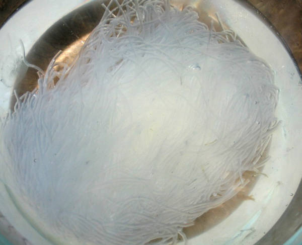 Бобовая_вермишель_фото_рецепт_Bobovaja_vermishel_foto_recept