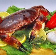 Салат с крабовым мясом — «жемчужина» моря на вашем столе!