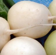 Салат из редьки в острых и мягких вкусовых сочетаниях