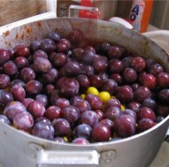 Соус ткемали: достойное наследие грузинской кухни